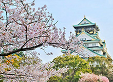 九游娱乐官方入口-鲁能四将入选新一期国足 王大雷正式回归击碎谣言
